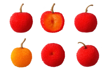 Strawberry tree berry set with whole fruits, halved pieces, vibrant red and orange stages, detailed texture and stems for food design.