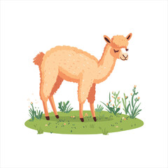 Cute llama in a meadow.  Peaceful, fluffy, light orange colored llama standing amidst colorful wildflowers and lush green grass