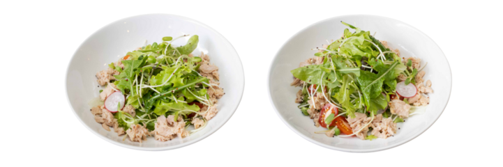 Freshness in Bowls: A vibrant visual of two bowls filled with a nutritious mix of fresh arugula and a colorful array of ingredients. Capturing the essence of a health-conscious culinary experience.