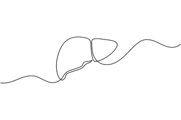 Liver anatomy continuous single line drawing. human organ concept isolate outline vector illustration