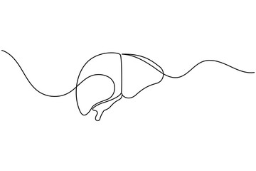 Liver anatomy continuous single line drawing. human organ concept isolate outline vector illustration