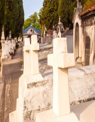 Cemetery scene with white crosses