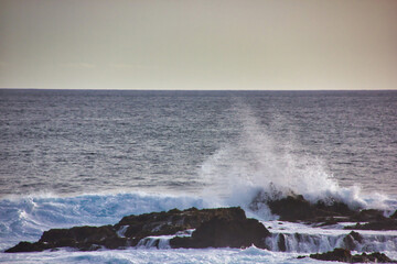Splahes on the coastal rocks in a windy day: splendid wild and natural background and desktop.