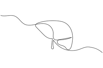Liver anatomy continuous single line drawing. human organ concept isolate outline vector illustration