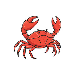 red crab isolated on white background