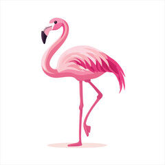 vector Pink flamingo illustration