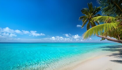 tropical beach view with palm tree crystal clear water and blue sky
