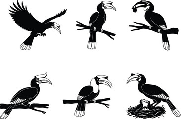 Hornbill bird silhouette vector illustration collection featuring flying, perched, feeding, and nesting poses for exotic tropical wildlife design artworks.