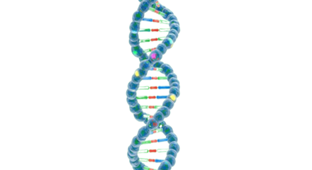 Vibrant helix DNA strand symbolizing life, genetics, and scientific discovery, perfect for health and biotech projects