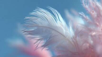 Obraz premium Delicate white and soft pink feathers sway gently in the breeze under a clear blue sky, creating a sense of calm and serenity in nature.