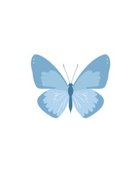 A light blue, symmetrically designed butterfly against a white background, with simplistic details