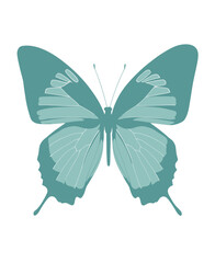 Teal-toned butterfly graphic, symmetrical and detailed, featuring delicate wing patterns and antennae