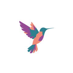 Flying Hummingbird Colorful hummingbird with purple, teal, and peach colored plumage