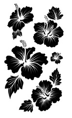 Several graphic black hibiscus flowers of varied sizes and leaves on a white background