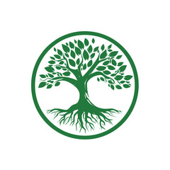 Obraz premium A stylized green tree illustration inside a circle, featuring roots, trunk, branches, and leaves