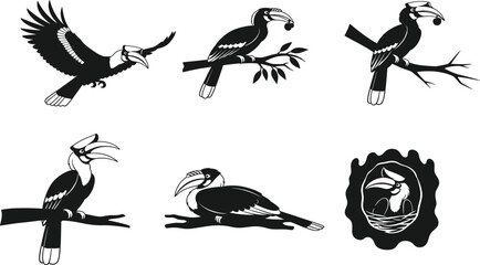 Hornbill bird silhouette vector illustration set with flying, perched, feeding, and nesting poses for tropical wildlife design artworks collection.