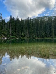 Mountain Green Lake Surrounded by Pines and Mountains