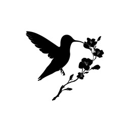 Obraz premium Silhouette of a hummingbird, its long beak touching a flower, against a white background