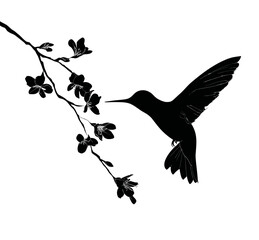 A black hummingbird flies toward a branch with blooming flowers, a silhouette on a white background
