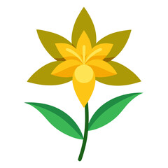 nolana humifusa flower vector on white