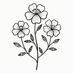 nemophila penny black flower line  art vector  illustration isolated on white