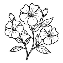 minimal vector illustration of a nierembergia repens line art flower on white background