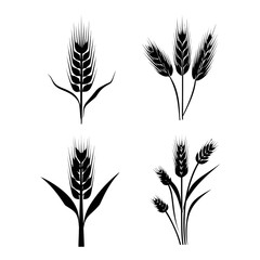 Vector illustrations showcasing wheat stalks in various arrangements, depicted in solid black on a white background