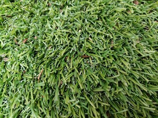 Close-up of green artificial grass surface showing dense plastic blades and natural debris, creating a textured background ideal for design, sports field details, or eco-friendly concepts.