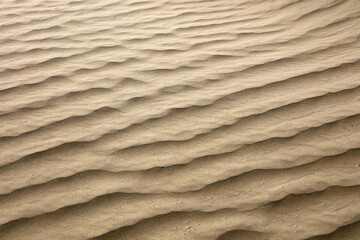 texture of sand