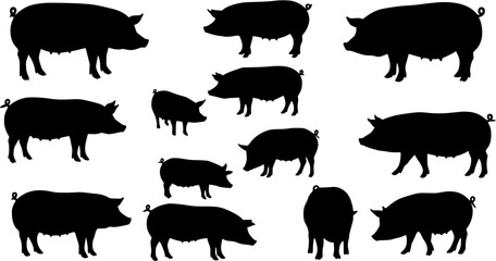 Collection of black pig silhouettes in various sizes and poses on a white background, representing farm animals and agriculture