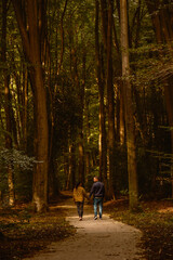 Amidst the breathtaking autumn colors, two people stroll hand in hand through the serene paths of Speulderbos in Veluwe, surrounded by tall trees and a tranquil atmosphere.