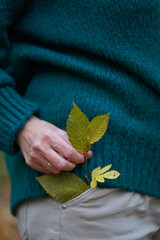 autum background and vintage clock Time and beautiful background Old alarm Retro and antique clock