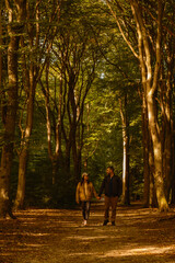 Couple walks hand in hand along a serene path through the golden foliage of Speulderbos forest. Autumns charm fills the air with vibrant colors and gentle sunlight filtering through the trees.