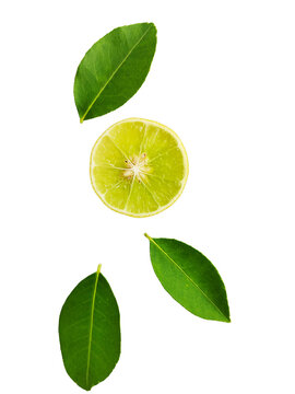 ellow lemon slices falling with green leaves isolated on transparent background.