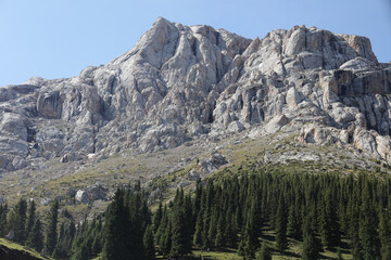Fototapeta premium yosemite national park