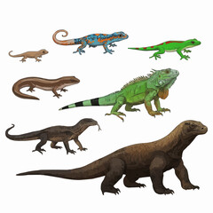 Collection of Various Lizard Species Reptiles Isolated on White Background