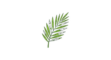 Isolated stylized frond evokes summery vibes and artistic flair on a clean background