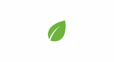 Illustration of a single green leaf with a prominent vein on a plain white background in a vector format