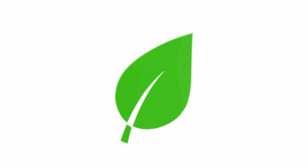Illustration of a single bright green leaf with a prominent white vein on a white background image
