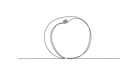 Minimalist line drawing of a round fruit, showcasing smooth curves and elegant simplicity, representing freshness and natural beauty in artistic form	