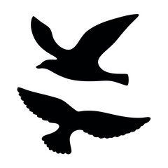 Fototapeta premium Two silhouetted birds in flight against a white background