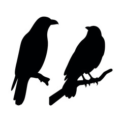 Two silhouetted crows perched on branches against a white background