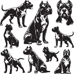Pitbull Dog Silhouette Vector Set Black and White Pitbull Illustrations Canine Pet Graphics
