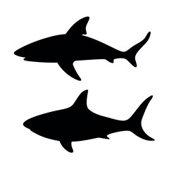 Two silhouettes of sharks swimming in the ocean depths