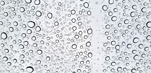 Raindrops on glass close-up. Black and white monochrome. Selective focus