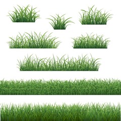 Grass Border Isolated White Background