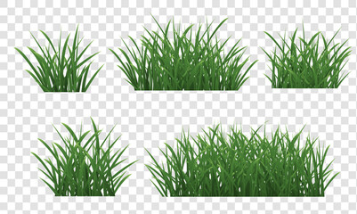 Grass Borders Set With Isolated Transparent Background