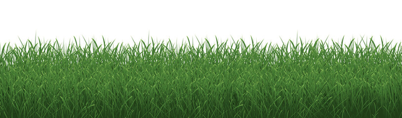 Grass Border With Isolated White Background