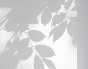 Realistic natural tree leaves shadow overlay on wall background, summer sunlight effect with soft organic patterns, interior photo backdrop mockup
