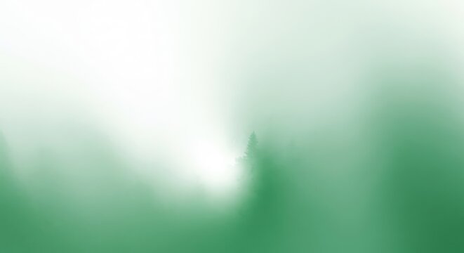 Misty forest silhouette with diffused light and soft focus background